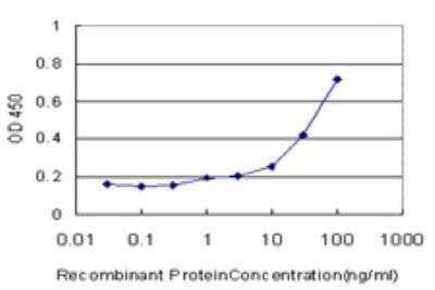ELISA: GPT Antibody (M1) [H00002875-M04] - Detection limit for recombinant GST tagged GPT is approximately 3ng/ml as a capture antibody.