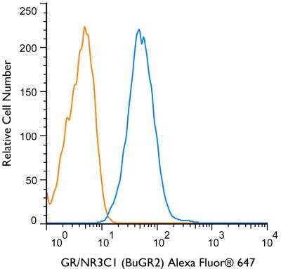 Flow Cytometry: GR/NR3C1 Antibody (BuGR2) [Alexa Fluor 647] [NB300-731AF647] - An intracellular stain was performed on HeLa cells with GR/NR3C1 (BuGR2) antibody NB300-731AF647 (blue) and a matched isotype control NB600-986AF647 (orange). Cells were fixed with 4% PFA and then permeablized with 0.1% saponin. Cells were incubated in an antibody dilution of 2 ug/mL for 30 minutes at room temperature. Both antibodies were conjugated to Alexa Fluor 647.