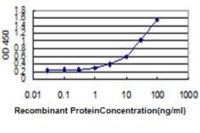 Sandwich ELISA Capture: GRG (Groucho homolog) Antibody (1E1) [H00000166-M02] - Detection limit for recombinant GST tagged GRG (Groucho homolog) is approximately 1ng/ml as a capture antibody.