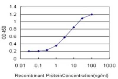 Sandwich ELISA: GRK4 Antibody (6D12) [H00002868-M01] - Detection limit for recombinant GST tagged GRK4 is approximately 0.3ng/ml as a capture antibody.