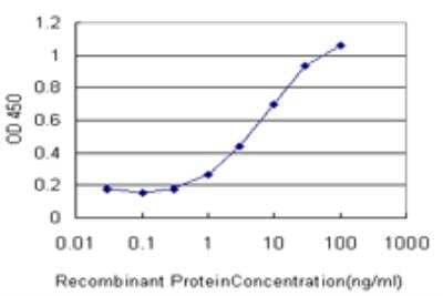 ELISA: GRK6 Antibody (2G1) [H00002870-M06] - Detection limit for recombinant GST tagged GRK6 is approximately 1ng/ml as a capture antibody.