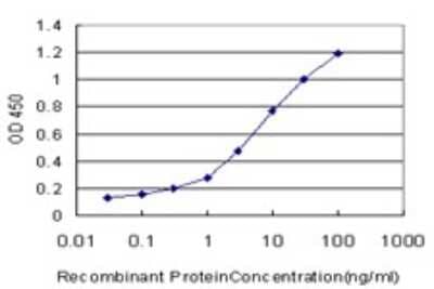 Sandwich ELISA: GRK6 Antibody (8B7) [H00002870-M07] - Detection limit for recombinant GST tagged GRK6 is approximately 0.1ng/ml as a capture antibody.