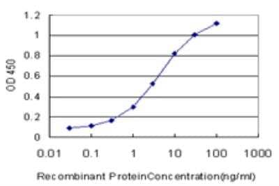 ELISA GRK6 Antibody (8D9) - Azide and BSA Free