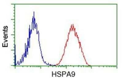 Flow Cytometry: GRP75/HSPA9B/Mortalin Antibody (OTI9F8) - Azide and BSA Free [NBP2-70963] - Analysis of Jurkat cells, using anti-Mortalin antibody, (Red), compared to a nonspecific negative control antibody (Blue).