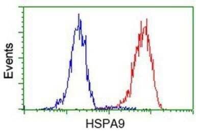 Flow Cytometry: GRP75/HSPA9B/Mortalin Antibody (OTI9F8) - Azide and BSA Free [NBP2-70963] - Analysis of Hela cells, using anti-Mortalin antibody, (Red), compared to a nonspecific negative control antibody (Blue).