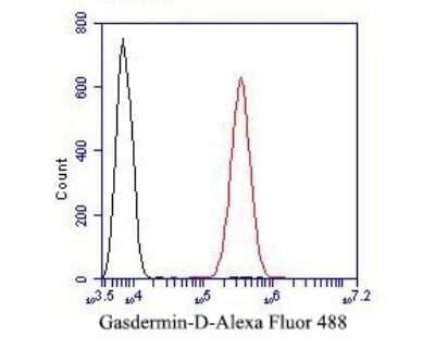 Flow Cytometry: GSDMDC1 Antibody [NBP2-80427] - Analysis of GSDMDC1 was done on SiHa cells. The cells were fixed, permeabilized and stained with the primary antibody (1/50) (red). After incubation of the primary antibody at room temperature for an hour, the cells were stained with a Alexa Fluor 488-conjugated Goat anti-Rabbit IgG Secondary antibody at 1/1000 dilution for 30 minutes. Unlabeled sample was used as a control (cells without incubation with primary antibody; black).