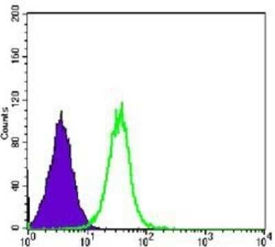 Flow Cytometry: GSK-3 beta Antibody (3D10) - Azide and BSA Free [NBP2-80757] - Flow cytometric analysis of Hela cells using GSK3 beta mouse mAb (green) and negative control (purple). Image from the standard format of this antibody.