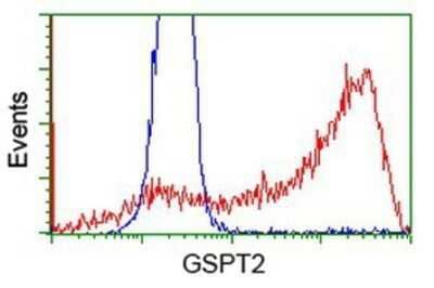 CyTOF-ready: GSPT2 Antibody (OTI2G9) - Azide and BSA Free [NBP2-71768] - HEK293T cells transfected with either overexpression plasmid (Red) or empty vector control plasmid (Blue) were immunostaining by anti-GSPT2 antibody, and then analyzed by flow cytometry.