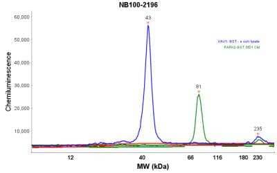 Simple Western: GST Epitope Tag Antibody (6G9B9) [NB100-2196] - Electropherogram image(s) of corresponding Simple Western lane view. GST Epitope Tag antibody was used at 1:100 dilution on hVAV1-GST, E. coli (left) & hPARK2-GST-conditioned media (right) lysate(s).