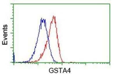 Flow Cytometry: GSTA4 Antibody (OTI3F5) - Azide and BSA Free [NBP2-70856] - Analysis of Hela cells, using anti-GSTA4 antibody, (Red), compared to a nonspecific negative control antibody (Blue).