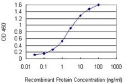 Sandwich ELISA: GSTT2 Antibody (1C12) [H00002953-M01] - Detection limit for recombinant GST tagged GSTT2 is 0.03 ng/ml as a capture antibody.