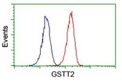 Flow Cytometry: GSTT2 Antibody (OTI3B6) - Azide and BSA Free [NBP2-70861] - Analysis of Jurkat cells, using anti-GSTT2 antibody, (Red), compared to a nonspecific negative control antibody (Blue).