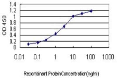 Sandwich ELISA: GTF2A1 Antibody (2H5) [H00002957-M01] - Detection limit for recombinant GST tagged GTF2A1 is approximately 0.03ng/ml as a capture antibody.