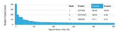 Protein Array: GTF2H2 Antibody (PCRP-GTF2H2-1B9) [NBP3-08257] - Analysis of Protein Array containing more than 19,000 full-length human proteins using GTF2H2 Mouse Monoclonal Antibody (PCRP-GTF2H2-1B9).