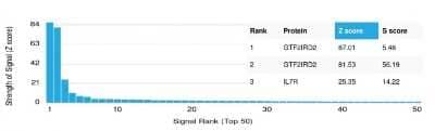Protein Array: GTF2IRD2 Antibody (PCRP-GTF2IRD2-1B12) [NBP3-07399] - Analysis of Protein Array containing more than 19,000 full-length human proteins using GTF2IRD2 Mouse Monoclonal Antibody (PCRP-GTF2IRD2-1B12).