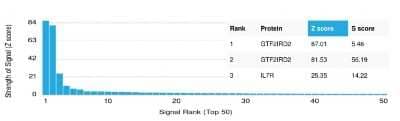 Protein Array: GTF2IRD2 Antibody (PCRP-GTF2IRD2-1B12) [NBP3-08512] - Analysis of Protein Array containing more than 19,000 full-length human proteins using GTF2IRD2 Mouse Monoclonal Antibody (PCRP-GTF2IRD2-1B12).