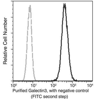 Flow Cytometry: Galectin-3 Antibody (024) [NBP2-89383] - Analysis of Human Galectin3 expression on HeLa cells. The cells were treated stained with purified anti-Human Galectin3, then a FITC-conjugated second step antibody. The fluorescence histograms were derived from gated events with the forward and side light-scatter characteristics of intact cells.