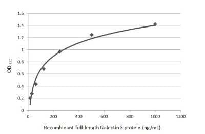 Sandwich ELISA: Galectin-3 Antibody (GT12712) [NBP3-13641] - Sandwich ELISA detection of recombinant full-length Galectin-3 protein using NBP3-13641 as capture antibody at concentration of 5 ug/mL and NBP2-16590 as detection antibody at concentration of 1 ug/mL. Rabbit IgG antibody (HRP) (NBP2-19301) was diluted at 1:10000 and used to detect the primary antibody.