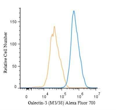 Flow (Intracellular): Galectin-3 Antibody (M3/38) [Alexa Fluor 700] [NBP1-43313AF700] - An intracellular stain was performed on RAW 246.7 cells with Galectin-3 Antibody (M3/38) NBP1-43313AF700 (blue) and a matched isotype control (orange). Cells were fixed with 4% PFA and then permeablized with 0.1% saponin. Cells were incubated in an antibody dilution of 10 ug/mL for 30 minutes at room temperature. Both antibodies were conjugated to Alexa Fluor 700.