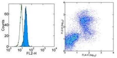 Flow Cytometry: Galectin-3 Antibody (M3/38) [Biotin] [NBP1-43553] - Intracellular staining of the monocyte population in normal human peripheral blood cells (right) or C57BL/6 mouse bone marrow cells (left) with Anti-Mouse CD11b APC and 0.125 ug of Anti-Human/Mouse Galectin-3 Biotin followed by Streptavidin PE. Total viable cells were used for analysis.
