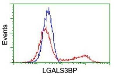 Flow Cytometry: Galectin-3BP/MAC-2BP/LGALS3BP Antibody (OTI6B7) - Azide and BSA Free [NBP2-71125] - HEK293T cells transfected with either overexpression plasmid (Red) or empty vector control plasmid (Blue) were immunostaining by anti-LGALS3BP antibody, and then analyzed by flow cytometry.