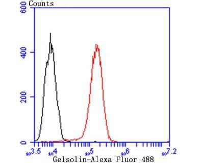Flow Cytometry: Gelsolin/GSN Antibody (JB36-68) [NBP2-75503] - Analysis of THP-1 cells with Gelsolin antibody at 1/100 dilution (red) compared with an unlabelled control (cells without incubation with primary antibody; black). Alexa Fluor 488-conjugated goat anti-rabbit IgG was used as the secondary antibody.