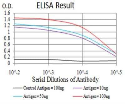 ELISA: Gemin 3 Antibody (7B2B1) [NBP2-52453] - Black line: Control Antigen (100 ng); Purple line: Antigen(10ng); Blue line: Antigen (50 ng); Red line: Antigen (100 ng).