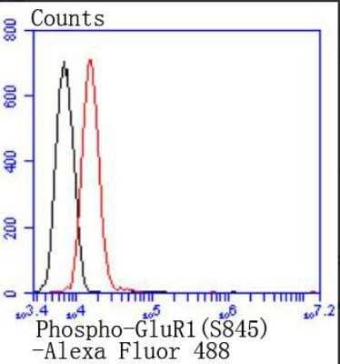 Flow Cytometry: GluR1 [p Ser845] Antibody (JJ2009) [NBP2-67853] - Analysis of N2A cells with Phospho-GluR1(S845) antibody at 1/50 dilution (red) compared with an unlabelled control (cells without incubation with primary antibody; black). Alexa Fluor 488-conjugated goat anti rabbit IgG was used as the secondary antibody.