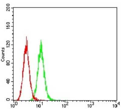 ELISA: GluR7/GRIK3 Antibody (2B4H1) [NBP2-61783] - Analysis of Hela cells using GRIK3 mouse mAb (green) and negative control (red).