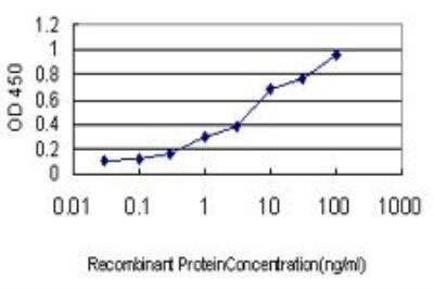 ELISA: Glucagon Antibody (2D3-2B11) [H00002641-M01] - Detection limit for recombinant GST tagged GCG is approximately 0.03ng/ml as a capture antibody.