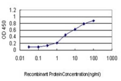 Sandwich ELISA: Glucokinase/GCK Antibody (3C7) [H00002645-M01] - Detection limit for recombinant GST tagged GCK is approximately 0.1ng/ml as a capture antibody.