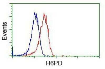 Flow Cytometry: Glucose 1-dehydrogenase Antibody (OTI2A7) - Azide and BSA Free [NBP2-71478] - Analysis of Jurkat cells, using anti-Glucose 1-dehydrogenase antibody, (Red), compared to a nonspecific negative control antibody (Blue).