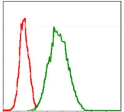 Flow Cytometry: Glucose 6 Phosphate Dehydrogenase Antibody (2H7) - Azide and BSA Free [NBP2-80752] - Analysis of Jurkat cells using Glucose 6 Phosphate Dehydrogenase mouse mAb (green) and negative control (red). Image from the standard format of this antibody.