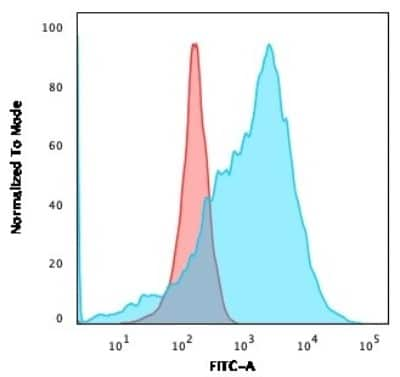 Flow Cytometry: Glut1 Antibody (GLUT1/3132R) - Azide and BSA Free [NBP3-08502] - Flow Cytometric Analysis of K562 cells using Glut1 Recombinant Rabbit Monoclonal Antibody (GLUT1/3132R) followed by goat anti-rabbit IgG-CF488 (Blue); Isotype Control (Red).