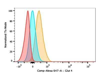 Flow Cytometry: Glut4 Antibody [Alexa Fluor (R) 647] [NBP1-49533AF647] - FLOW analysis of Glut 4 expression on Murine CD4+ T cells stimulated with anti-CD3/CD28 beads and insulin (1ug/mL) for 5 days in culture media with additional glucose provided. This Alexa Fluor (R) 647 conjugated Glut 4 antibody (orange) positively stained mouse's CD4+ T cells compared to Isotype Control (Rb IgG AF647, Novus NBP2-36463AF647, blue) and fluorescence minus one/FMO control (red)  [Image submitted by Verified Customer - see Product Review for Protocol Details]. 