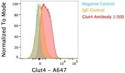 Flow Cytometry: Glut4 Antibody [Alexa Fluor&#174; 647] [NBP1-49533AF647] - Analysis of Glut4 antibody on mouse Thymic Epithelial cells. Glut4 antibody in comparison to negative and IgG Control. Primary antibody dilution: 1:500. Image from verified customer review.