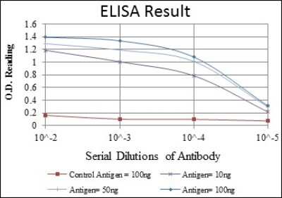 ELISA: Glutamate Receptor 3 Antibody (1D2) [NBP2-37584] - Red: Control Antigen (100ng); Purple: Antigen (10ng); Green: Antigen (50ng); Blue: Antigen (100ng);