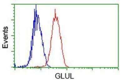 Flow Cytometry: Glutamine Synthetase Antibody (1F4) [NBP2-02125] - Analysis of Jurkat cells, using anti-Glutamine Synthetase antibody, (Red), compared to a nonspecific negative control antibody (Blue).