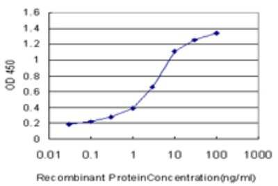 Sandwich ELISA: Glutaminyl-peptide Cyclotransferase/QPCT Antibody (4E11) [H00025797-M01] - Detection limit for recombinant GST tagged QPCT is approximately 0.03ng/ml as a capture antibody.