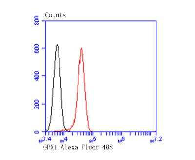 Flow Cytometry: Glutathione Peroxidase 1/GPX1 Antibody (A6-C0-B9) [NBP2-76857] - Flow cytometric analysis of HepG2 cells with Glutathione Peroxidase 1 antibody at 1/100 dilution (red) compared with an unlabelled control (cells without incubation with primary antibody; black). Alexa Fluor 488-conjugated goat anti-mouse IgG was used as the secondary antibody.
