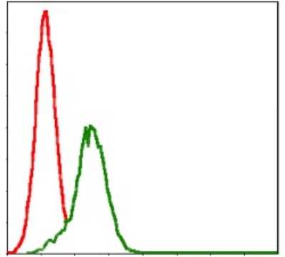 Flow Cytometry: Glutathione S-Transferase mu 1/GSTM1 Antibody (1H4A4) [NBP2-22185] - Flow cytometric analysis of Jurkat cells using GSTM1 mouse mAb (green) and negative control (red).