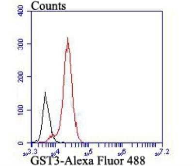 Flow Cytometry: Glutathione S-Transferase pi 1/GSTP1 Antibody (11D5) [NBP2-76868] - Flow cytometric analysis of GST3 was done on HCT116 cells. The cells were fixed, permeabilized and stained with GST3 antibody at 1/100 dilution (red) compared with an unlabelled control (cells without incubation with primary antibody; black). After incubation of the primary antibody on room temperature for an hour, the cells was stained with a Alexa Fluor 488-conjugated goat anti-mouse IgG Secondary antibody at 1/500 dilution for 30 minutes.