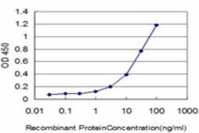 Sandwich ELISA: Glutathione S-transferase Mu 5 Antibody (1B3) [H00002949-M01] - Detection limit for recombinant GST tagged GSTM5 is approximately 1ng/ml as a capture antibody.