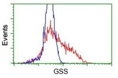 Flow Cytometry: Glutathione Synthetase Antibody (OTI1B8) - Azide and BSA Free [NBP2-70854] - HEK293T cells transfected with either overexpression plasmid (Red) or empty vector control plasmid (Blue) were immunostaining by anti-Glutathione Synthetase antibody, and then analyzed by flow cytometry.