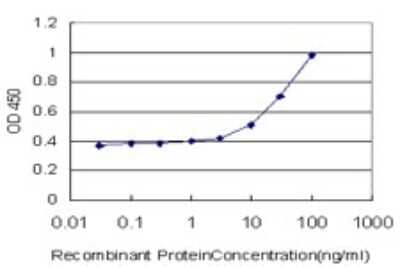 Sandwich ELISA: Glycerol 3 Phosphate Dehydrogenase Antibody (3C10-1C4) [H00002819-M01] - Detection limit for recombinant GST tagged GPD1 is approximately 1ng/ml as a capture antibody.