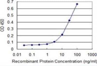 ELISA: Glycogen phosphorylase, muscle form Antibody (2C4) [H00005837-M10] - Detection limit for recombinant GST tagged PYGM is 1 ng/ml as a capture antibody.