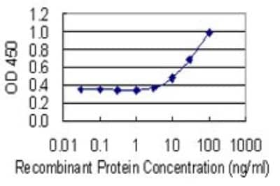 Sandwich ELISA: Glyoxalase I Antibody (4C12) [H00002739-M01] - Detection limit for recombinant GST tagged GLO1 is 1 ng/ml as a capture antibody.
