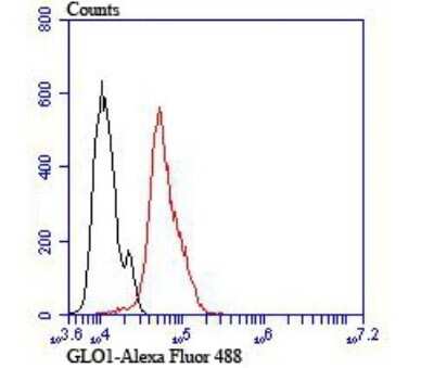 Flow Cytometry: Glyoxalase I Antibody (JU44-11) [NBP2-75514] - Analysis of Hela cells with GLO1 antibody at 1/100 dilution (red) compared with an unlabelled control (cells without incubation with primary antibody; black).