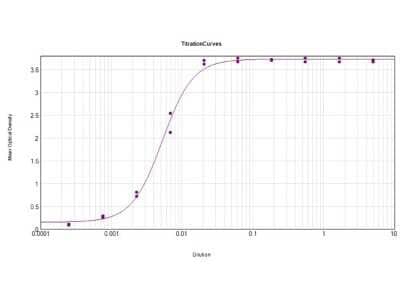 ELISA: Goat anti-Donkey IgG (H+L) Secondary Antibody [HRP] [NB120-6988] - ELISA Results of Goat anti-Donkey IgG (H+L) Secondary antibody [HRP]tested against purified Donkey IgG HRP. Each well was coated in duplicate with 1.0 ug of Donkey IgG. The working dilution is 1:188,000. The starting dilution of antibody was 5ug/ml and the X-axis represents the Log10 of a 3-fold dilution. This titration is a 4-parameter curve fit where the IC50 is defined as the titer of the antibody. Assay performed using HRP Conjugate Stabilizer and TMB substrate.
