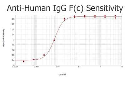 ELISA: Goat anti-Human IgG Fc Secondary Antibody [Biotin] (Pre-adsorbed) [NBP1-73308] - ELISA results of purified Goat anti-Human IgG F(c) Antibody Biotin conjugated tested against purified Human IgG F(c). Each well was coated in duplicate with 1.0 ug of Human IgG F(c).  The starting dilution of antibody was 5 ug/ml and the X-axis represents the Log10 of a 3-fold dilution. This titration is a 4-parameter curve fit where the IC50 is defined as the titer of the antibody.Assay performed using 3percent fish gelatin as blocking buffer, Streptavidin Peroxidase Conjugated and TMB substrate.